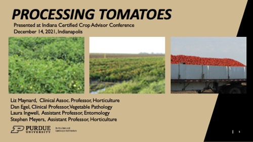 pdf slides for Processing Tomato Production in the Midwest