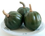 Picture of three Squash 'Honey Bear' acorn squash on a plate.