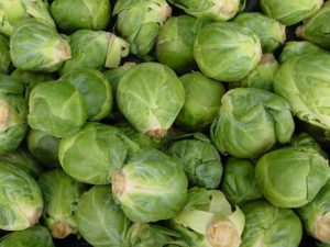 Photo of Brussels sprouts after harvest. Photos by Rosie Lerner/Purdue University