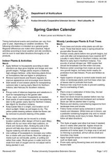 Leaves of Three, Let It Be' Should Be 'Leaflets of Three - Indiana Yard and  Garden - Purdue Consumer HorticulturePurdue University Indiana Yard and  Garden – Purdue Consumer Horticulture