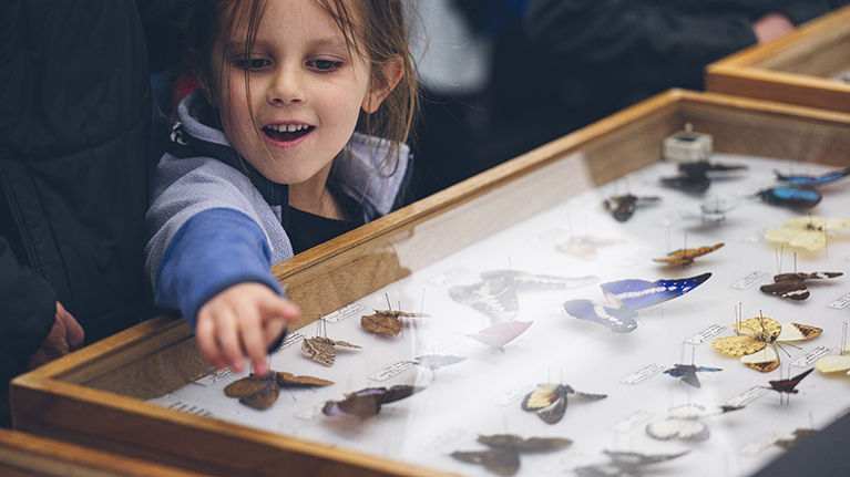 Child looking at butterflies at the Purdue Spring Fest.