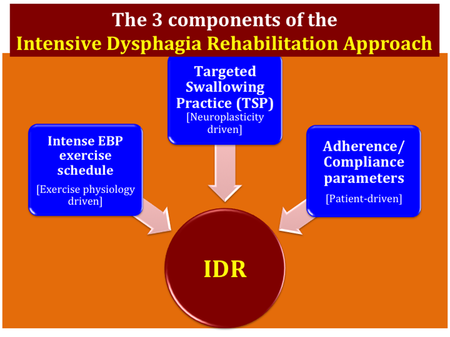 The components of the IDR approach developed by Dr. Malandraki