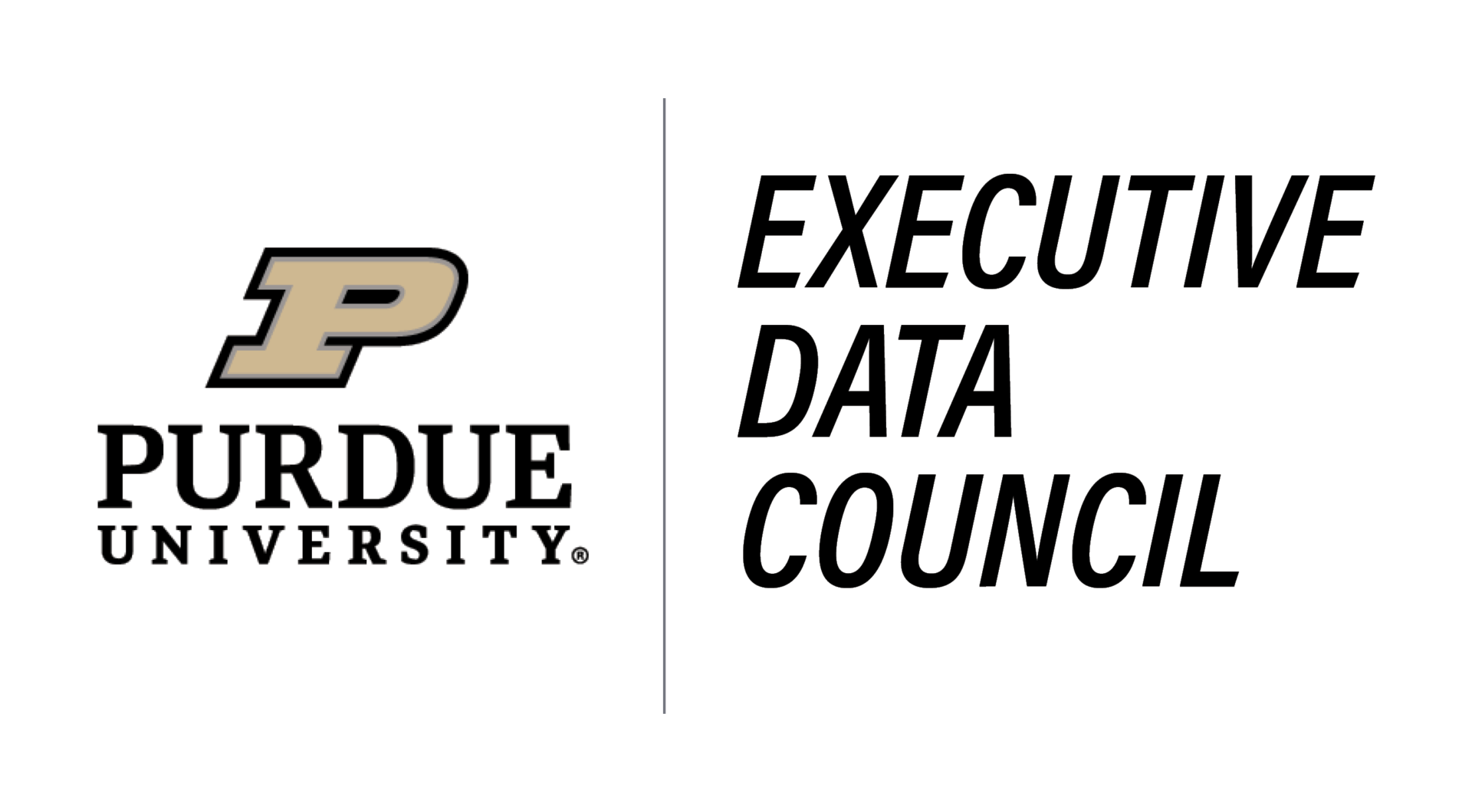 Executive Data Council Logo