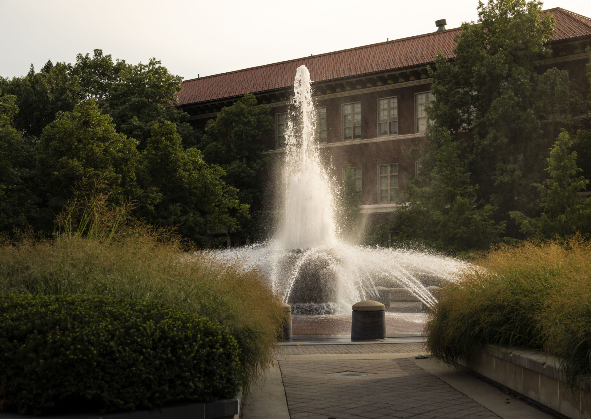 A tall water fountain sprays upward in front of a red-tile-roofed brick campus building, framed by ornamental grasses and dense green trees