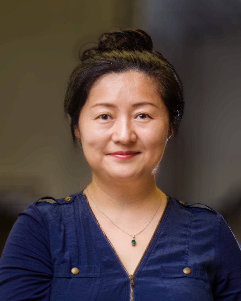 Li Qiao, PhD  
Professor of Aeronautics & Astronautics, Associate Head for Engagement and Recognition 