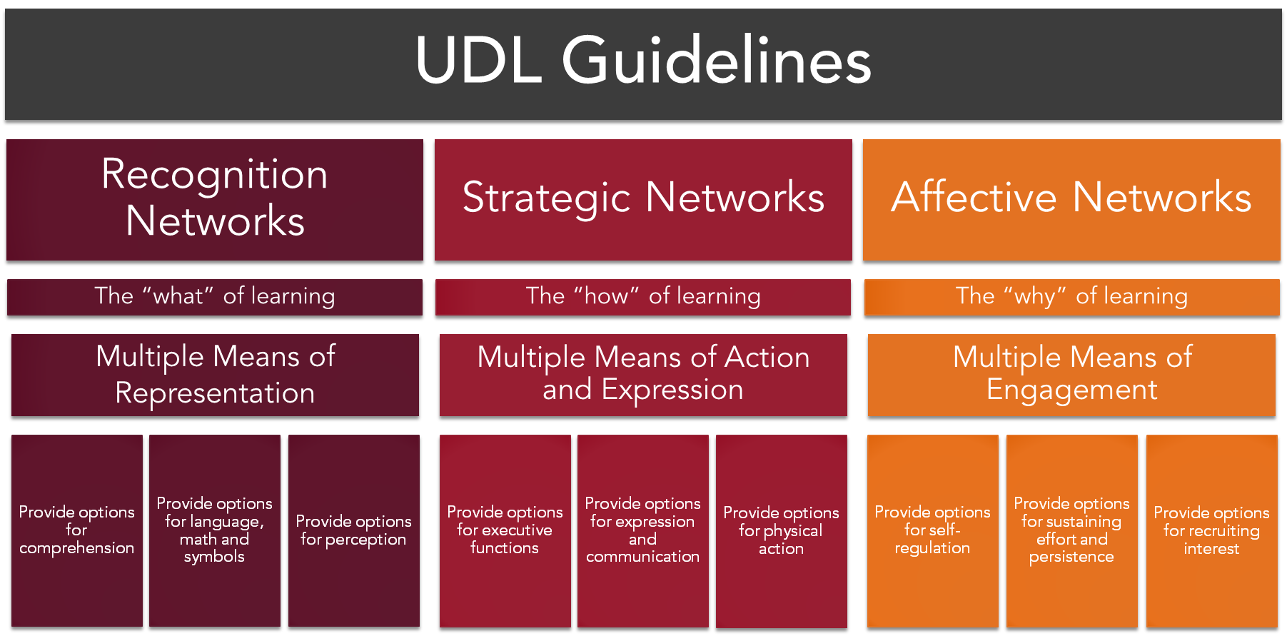 UDL-Guidelines