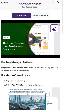 Screenshot of an accessibility report for a document named "Test Document.docx" showing a tutorial on resolving missing alt text issues. The report highlights a video titled "The Image Does Not Have An Alternative Description" with instructions for Microsoft Word users on how to add alt text by right-clicking an image and selecting "View Alt Text."