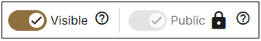 Enabled 'Visible' toggle next to a disabled, locked 'Public' toggle.