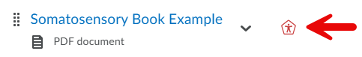 Screenshot of a file interface showing “Somatosensory Book Example” as a PDF document. A red arrow points toward an outlined accessibility icon.