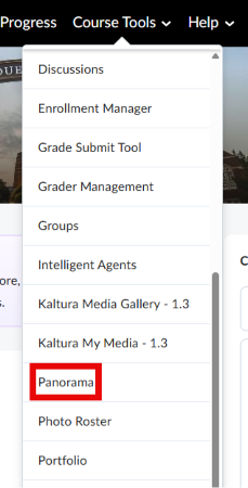 Screenshot showing the Brightspace Course Tools menu. Menu lists Discussions, Enrollment Manager, Grade Submit Tool, Grader Management, Groups, Intelligent Agents, Kaltura tools, Panorama highlighted in red, Photo Roster, and Portfolio.