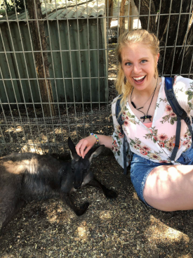 Taylor Doehrman pets a wallaby at a wildlife park