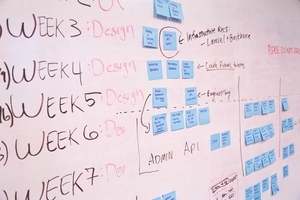 Lean Six Sigma Leadership Principles