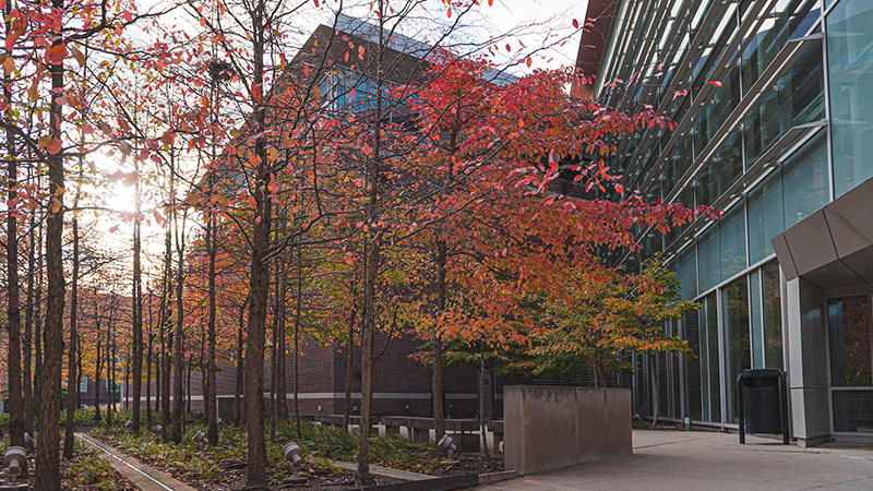 A picture of Armstrong Hall at Purdue University.