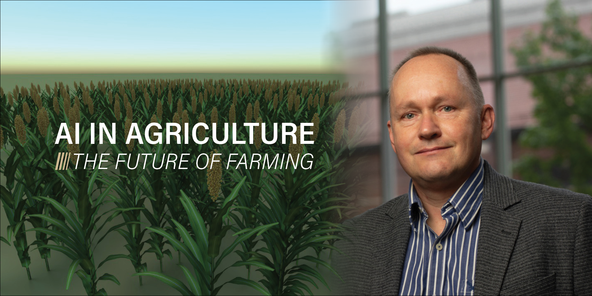 Graphic with man and corn field