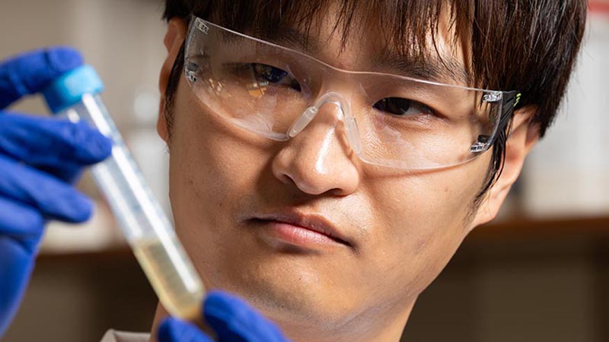 Student looking at test tube in lab