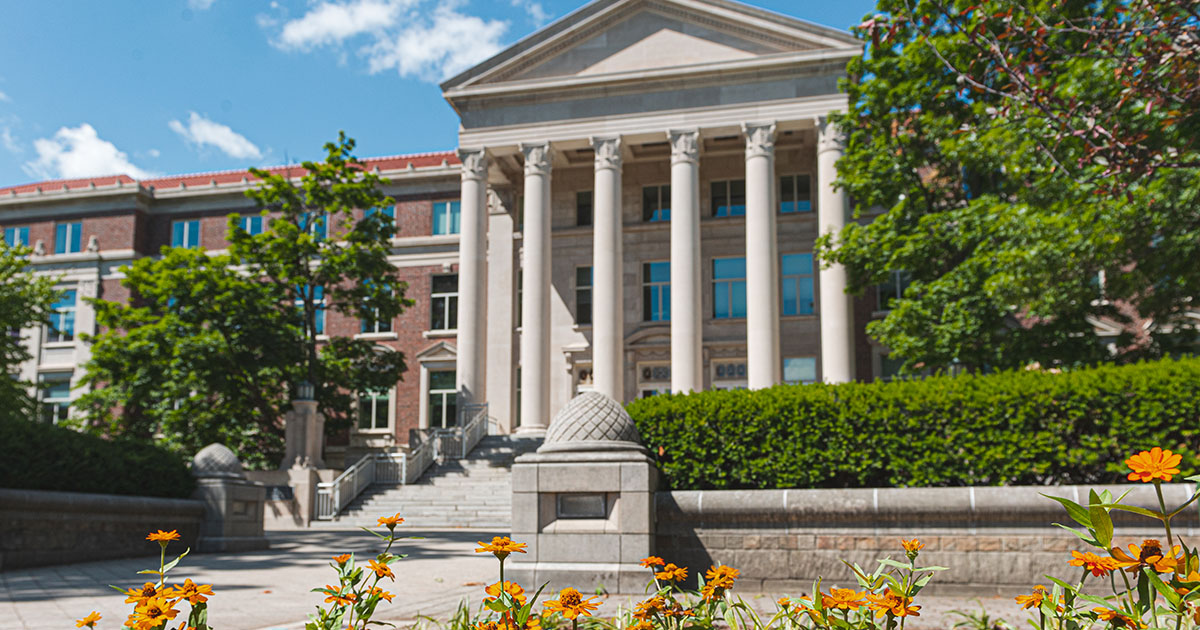 The exterior of Hovde Hall with yellow summer flowers in the foreground
