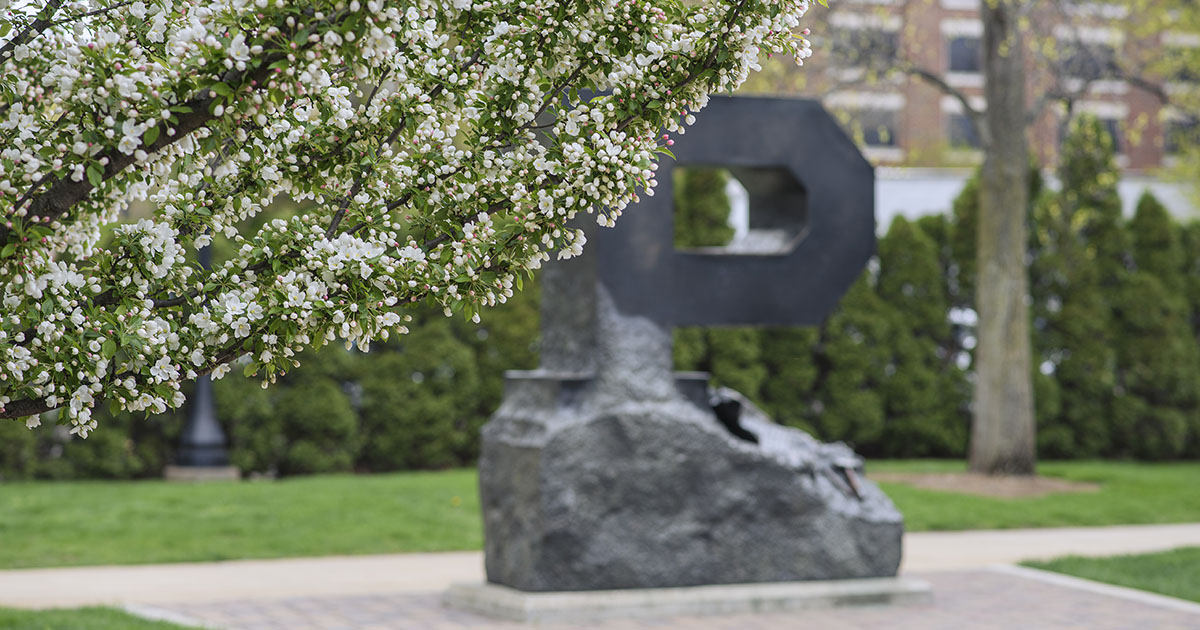 A white-flowering tree in springtime frames the Unfinished Block P in soft focus.