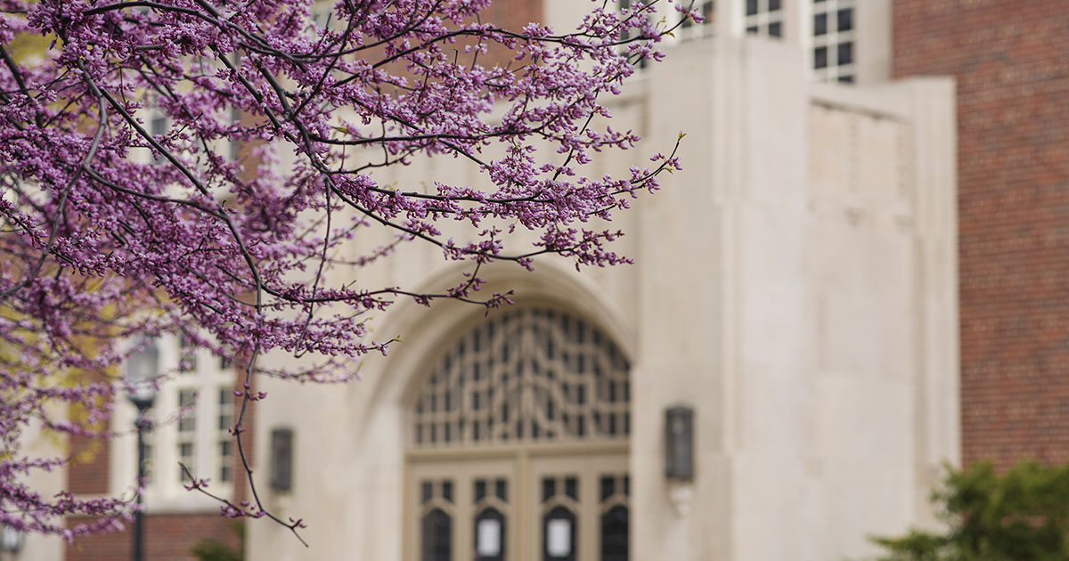 March’s One Hour with HR to focus on career paths