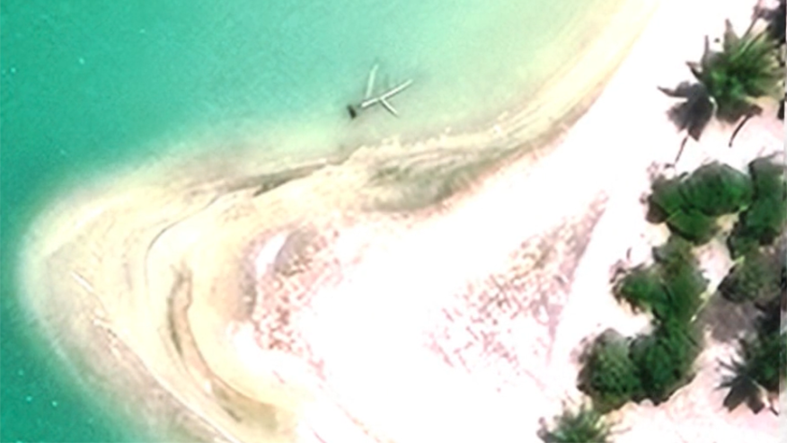 A satellite image of a beach with a planelike object in the water just off the coast