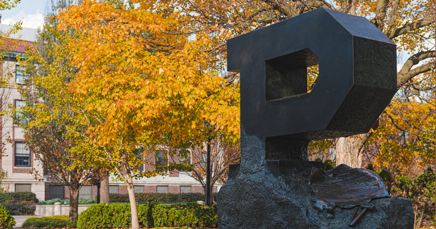 Unfinished Block P during fall