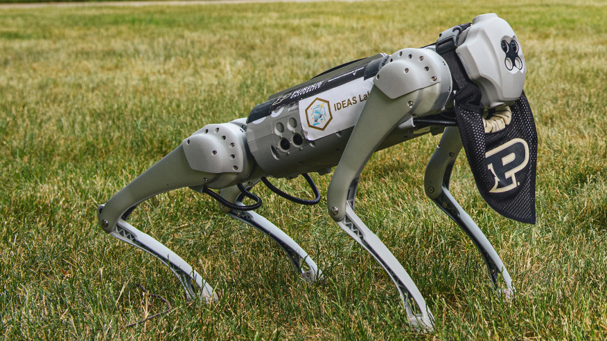 Robotic dog