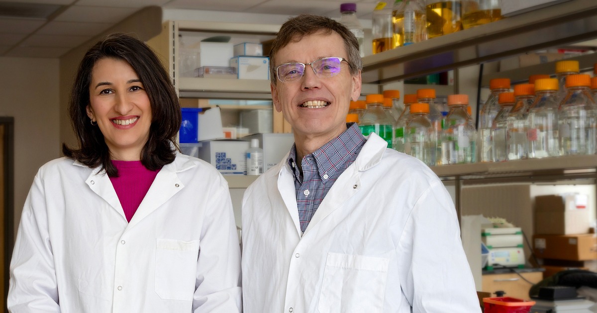 Contraceptive vaccine reduces fertility in animals to address wildlife overpopulation