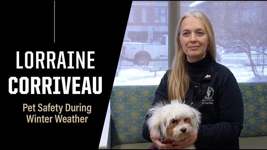 Graphic featuring woman and dog