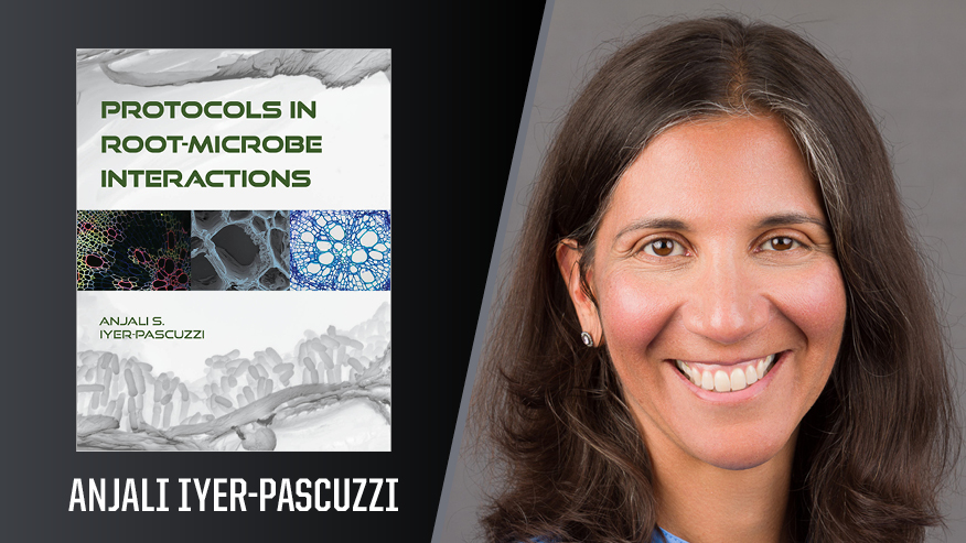 In Print graphic with Anjali Iyer-Pascuzzi, professor of botany and plant pathology, on the right and the cover of her book “Protocols in Root-Microbe Interactions”on the left.