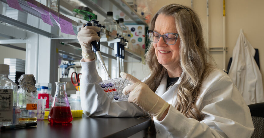 Andrea Rasola Small segments of RNA halt cancer in multiple ways - News