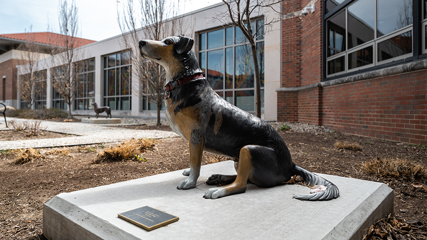 A bronze statue of a small dog sits in an outdoor courtyard.
