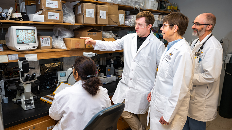 A team of veterinarians look at a microscope in a laboratory.