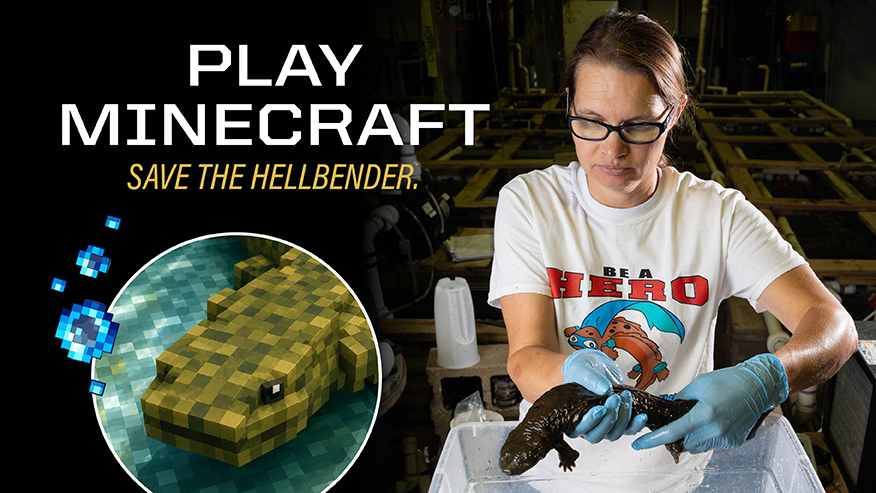 Minecraft hellbender graphic