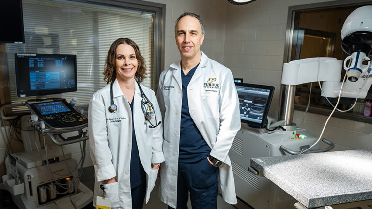 Canine cancer patients contribute to next-generation minimally invasive ...