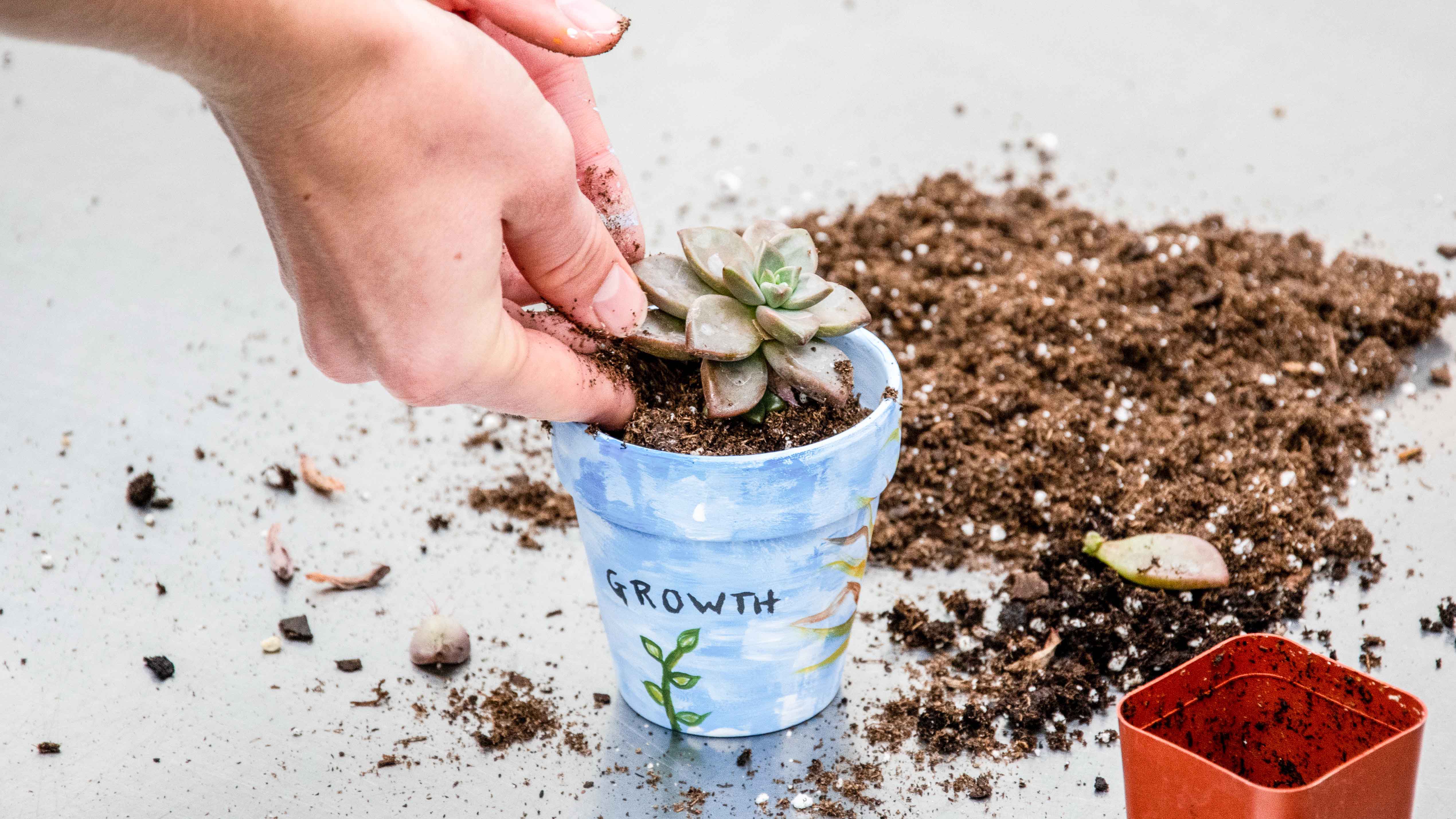 A hand is shown planting a succulent in a blue painted pot labeled "GROWTH," surrounded by soil and a small empty orange pot.