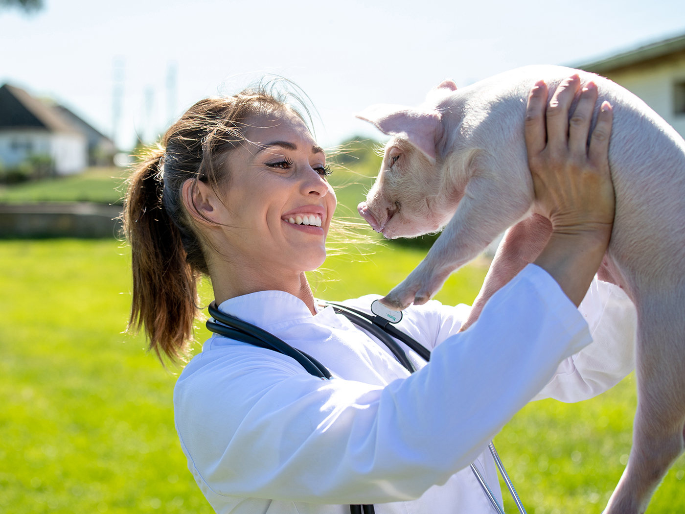 Young woman doctor wearing lab coat smiling at piglet. Veterinarian holding pig after examination.