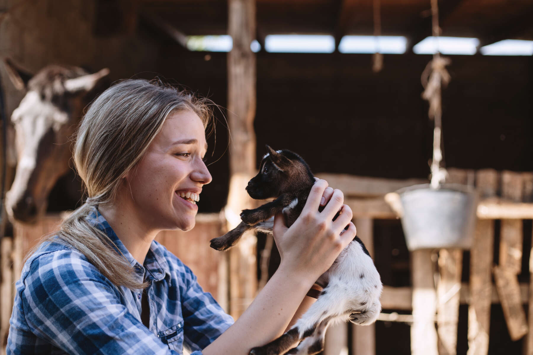 A woman hold a baby goat, smiling. The goat has black and white fur and is only a few days old.