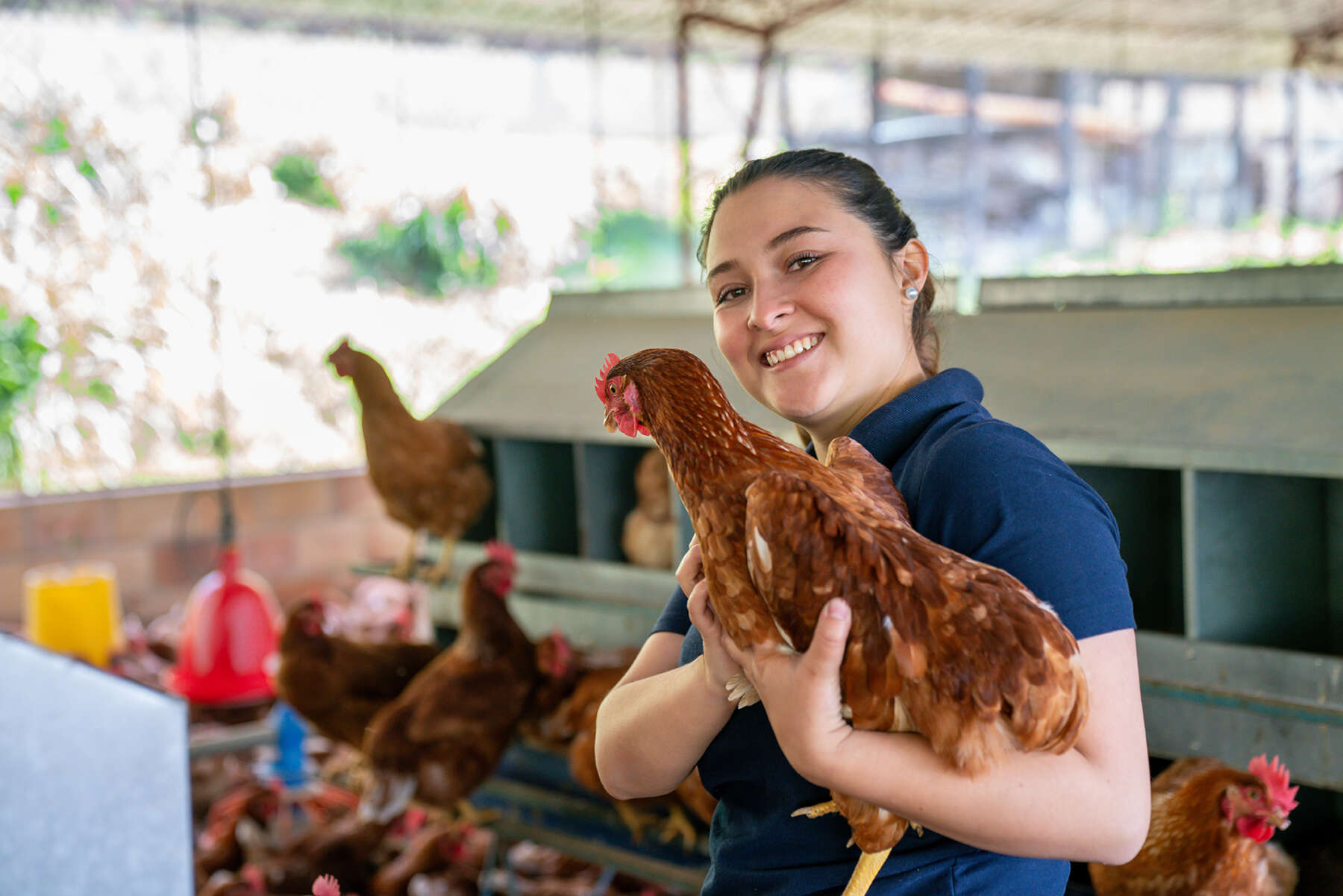 Happy female veterinarian holding a chicken while working at a poultry farm and looking at the camera smiling