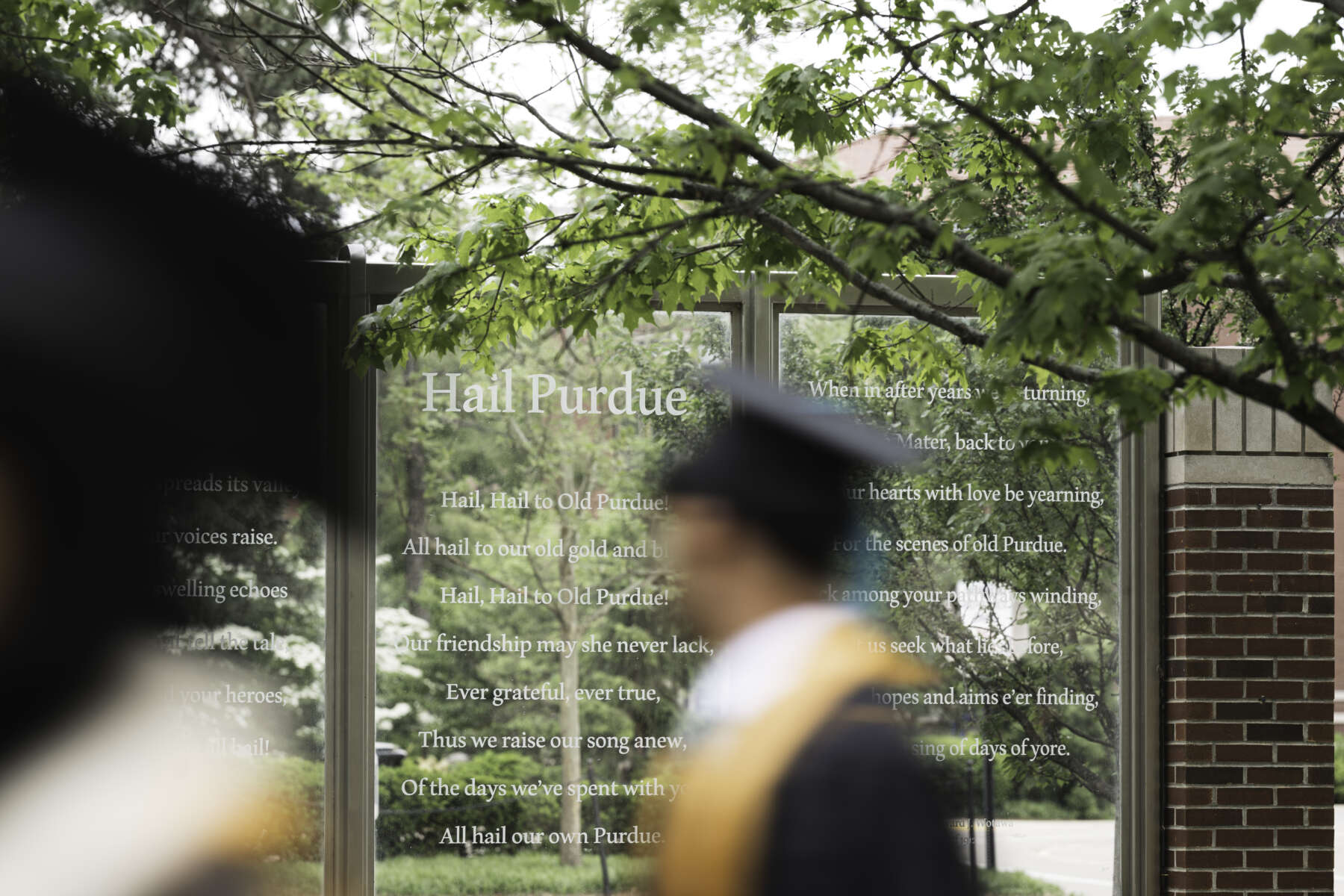 A Purdue student in graduation attire walks past a "Hail Purdue" placard on campus.