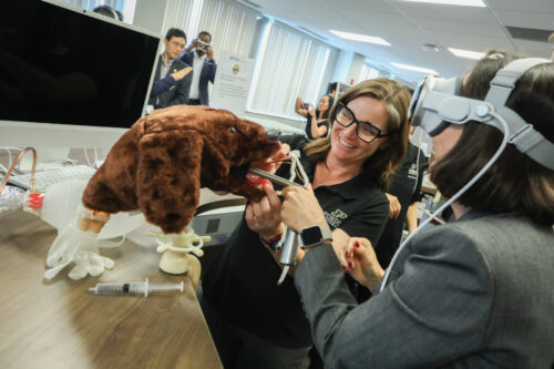 Purdue Senior Lecturer Stephanie Inoue, DVM, demonstrates how spatial computing hub technology can be used to enhance student learning with immersive experiences. Purdue Senior Lecturer Stephanie Inoue, DVM, demonstrates how spatial computing hub technology can be used to enhance student learning with immersive experiences.