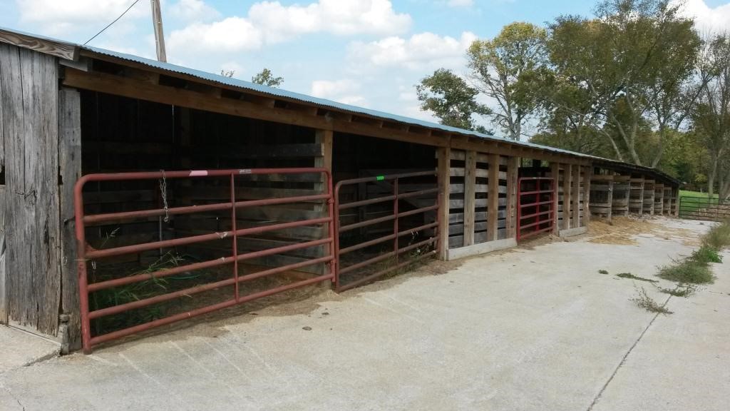 calving barns