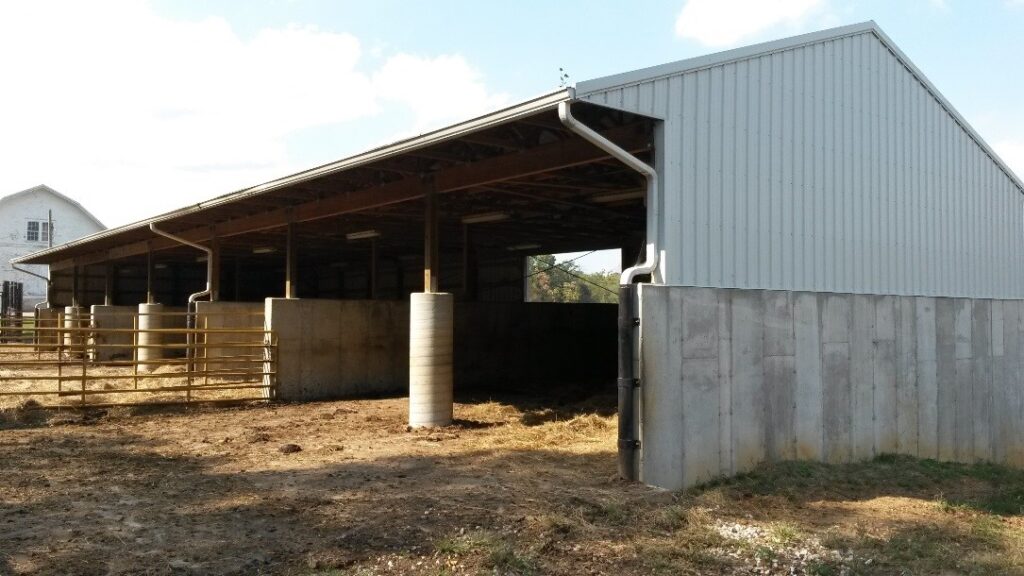 herd bull barn