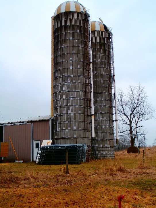 silos at beef barn