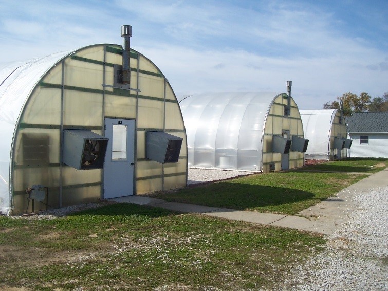 Greenhouses (3) SW23, SW24, SW25