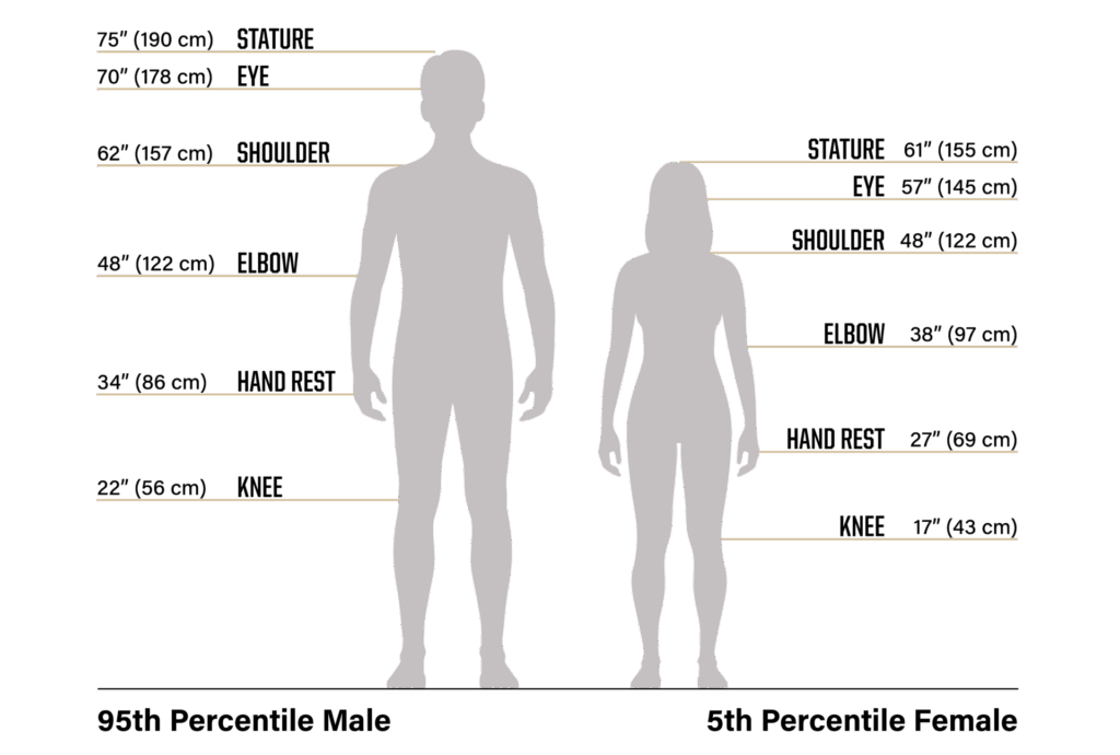 Silhouettes of average adult male and female showing key body measurements used for ergonomic design.