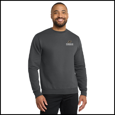 Crewneck sweatshirt in charcoal