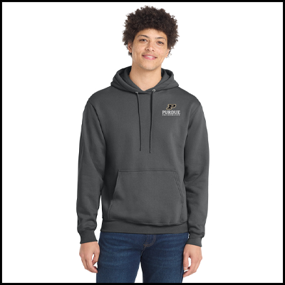Hooded sweatshirt in charcoal