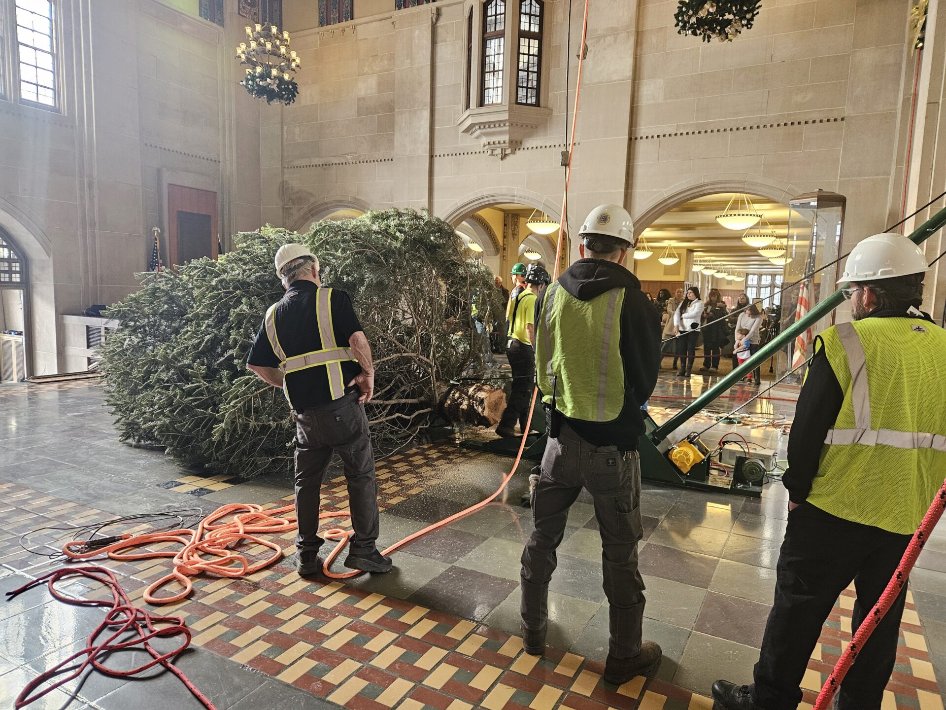 PMU employees helping with tree arrival