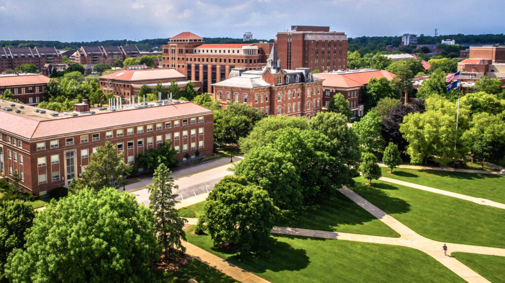 Memorial Mall in the summertime with vibrant green grass and full trees.