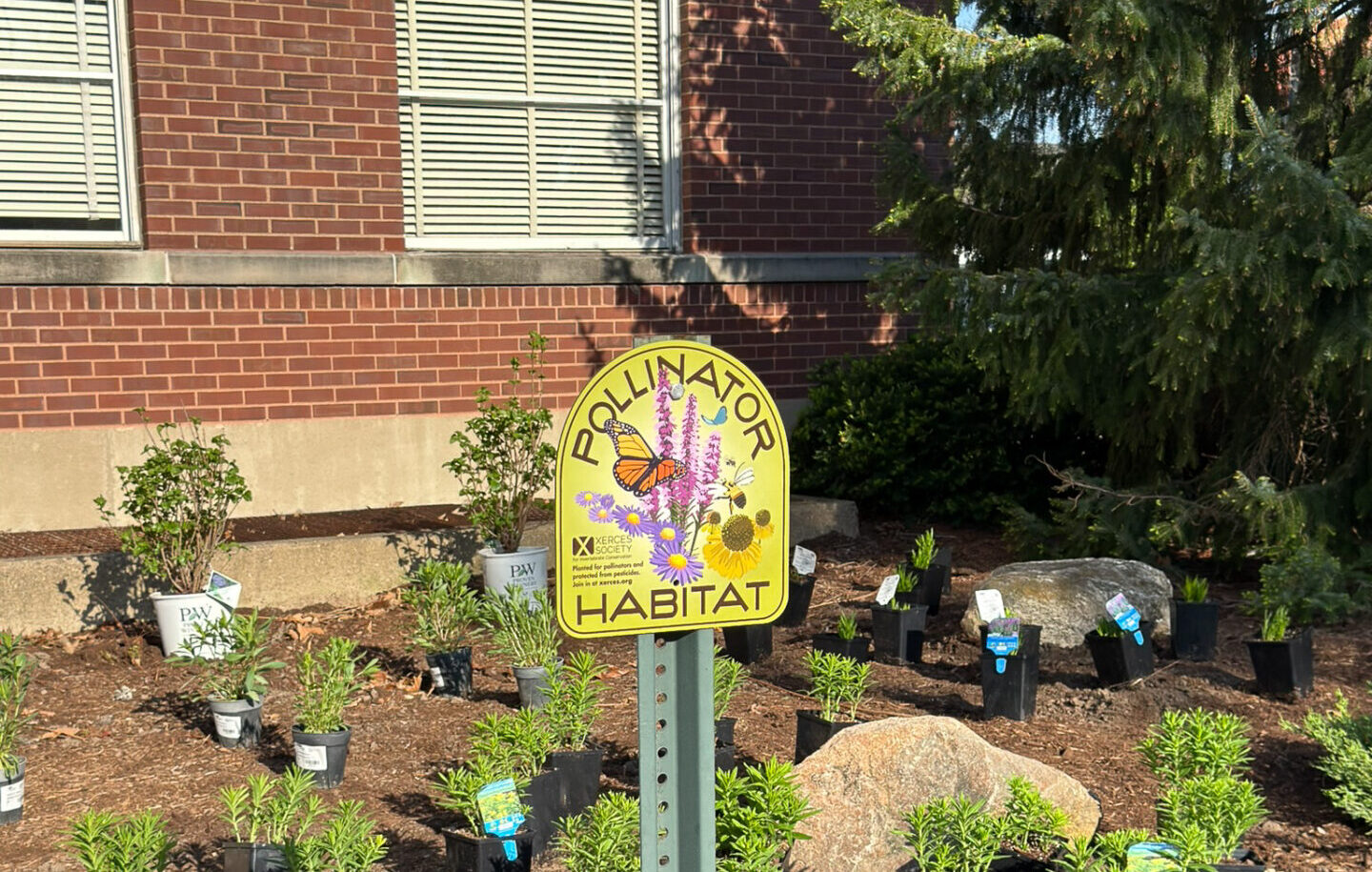 Bee Campus 2026