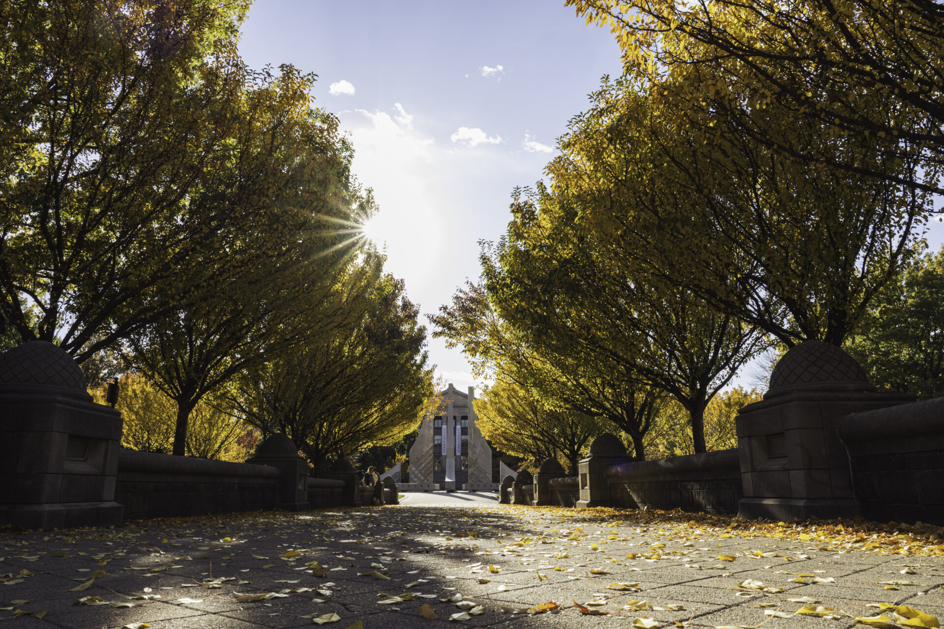 This image shows the Engineering Mall in a fall setting.